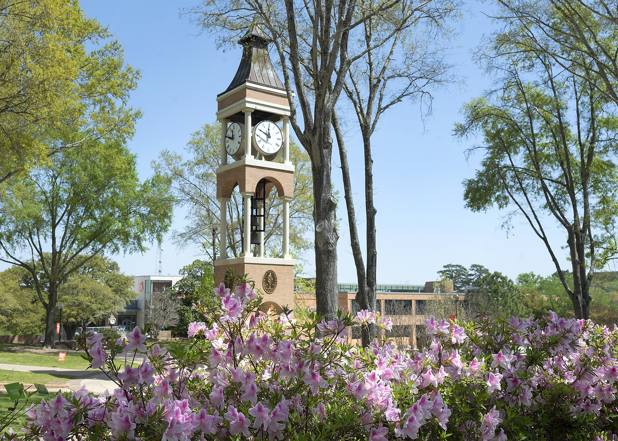 Image of a building on SHSU's campus with blooming trees in front of it.