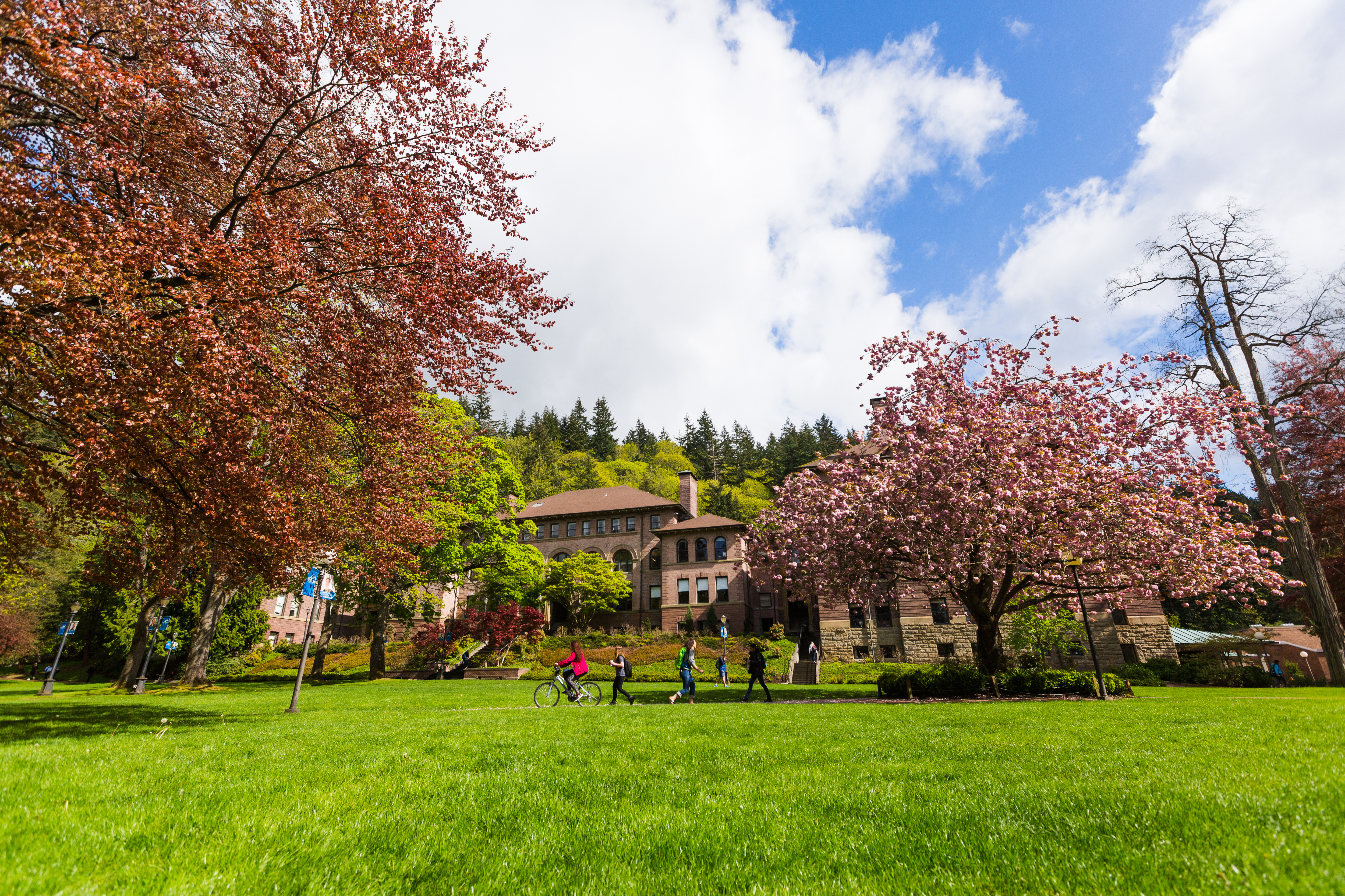 Western Washington University Campus in spring