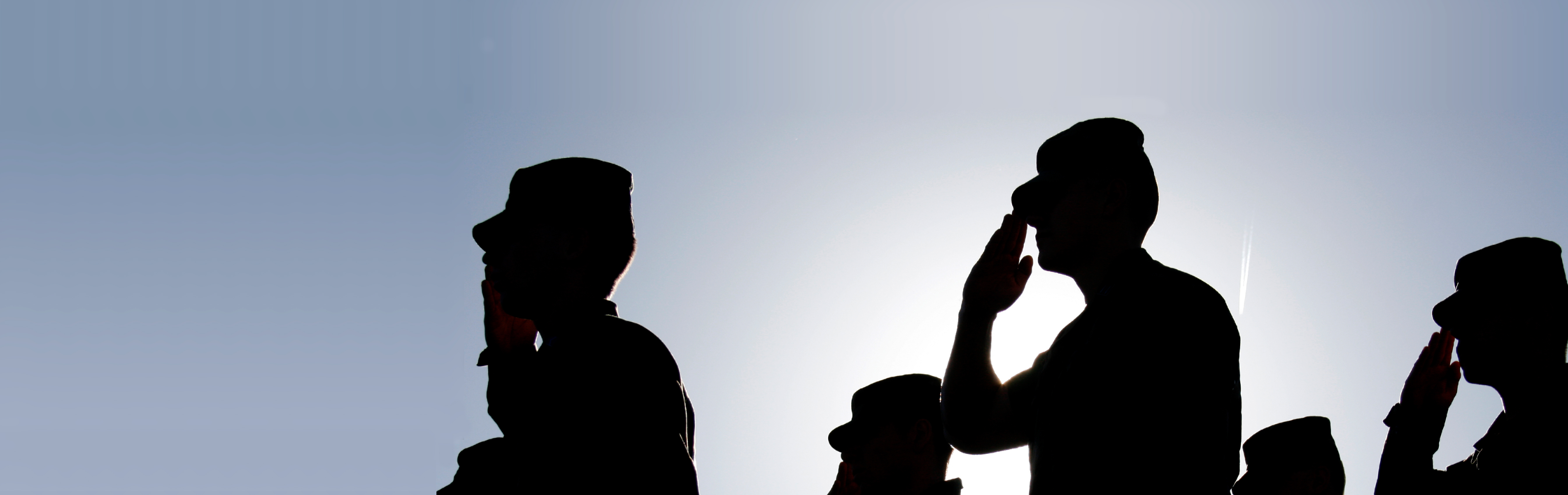 Picture of service members saluting