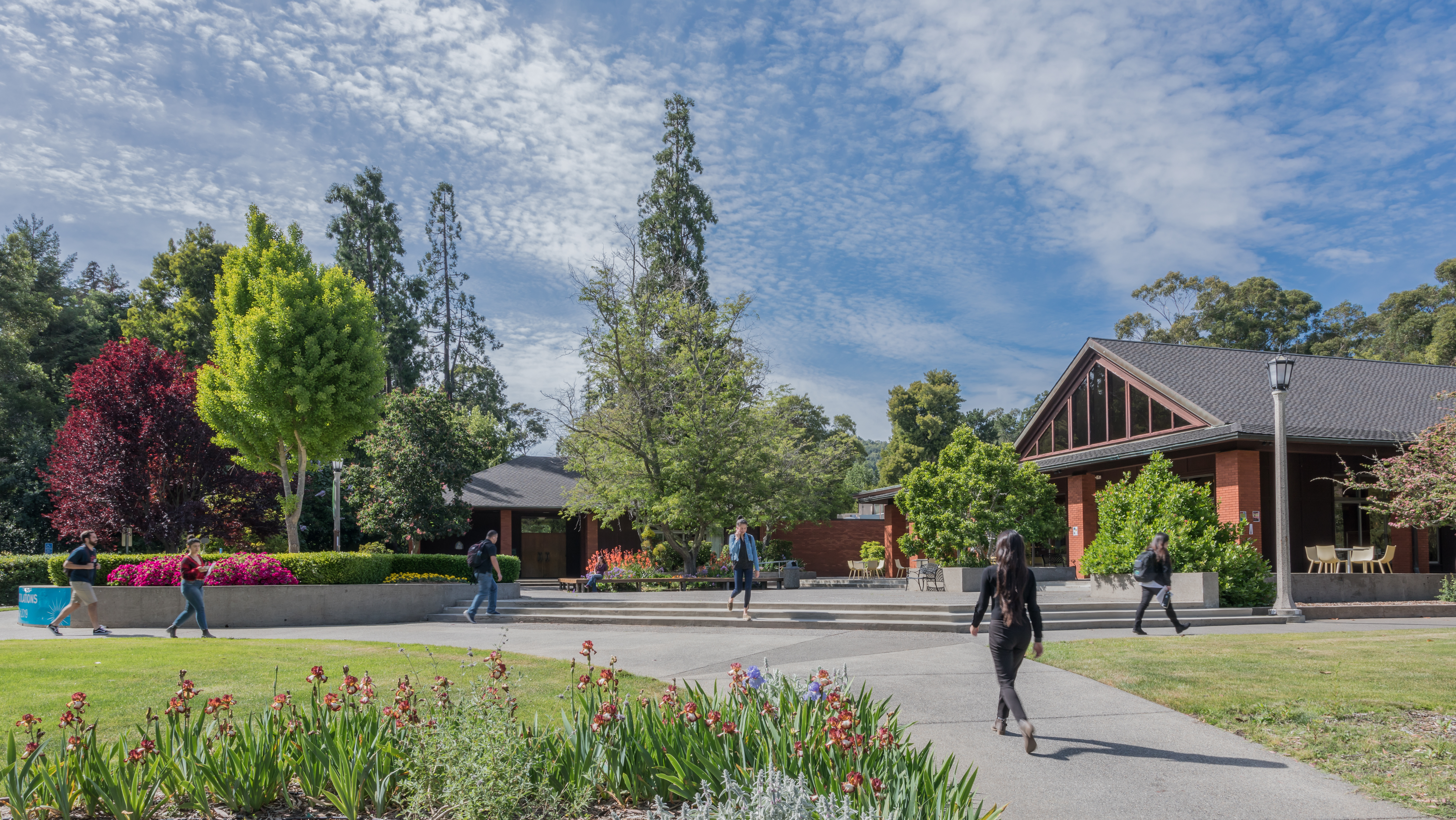 Amarillo College and Dominican University of California Receive ACE/Fidelity Investments Award for Institutional Transformation