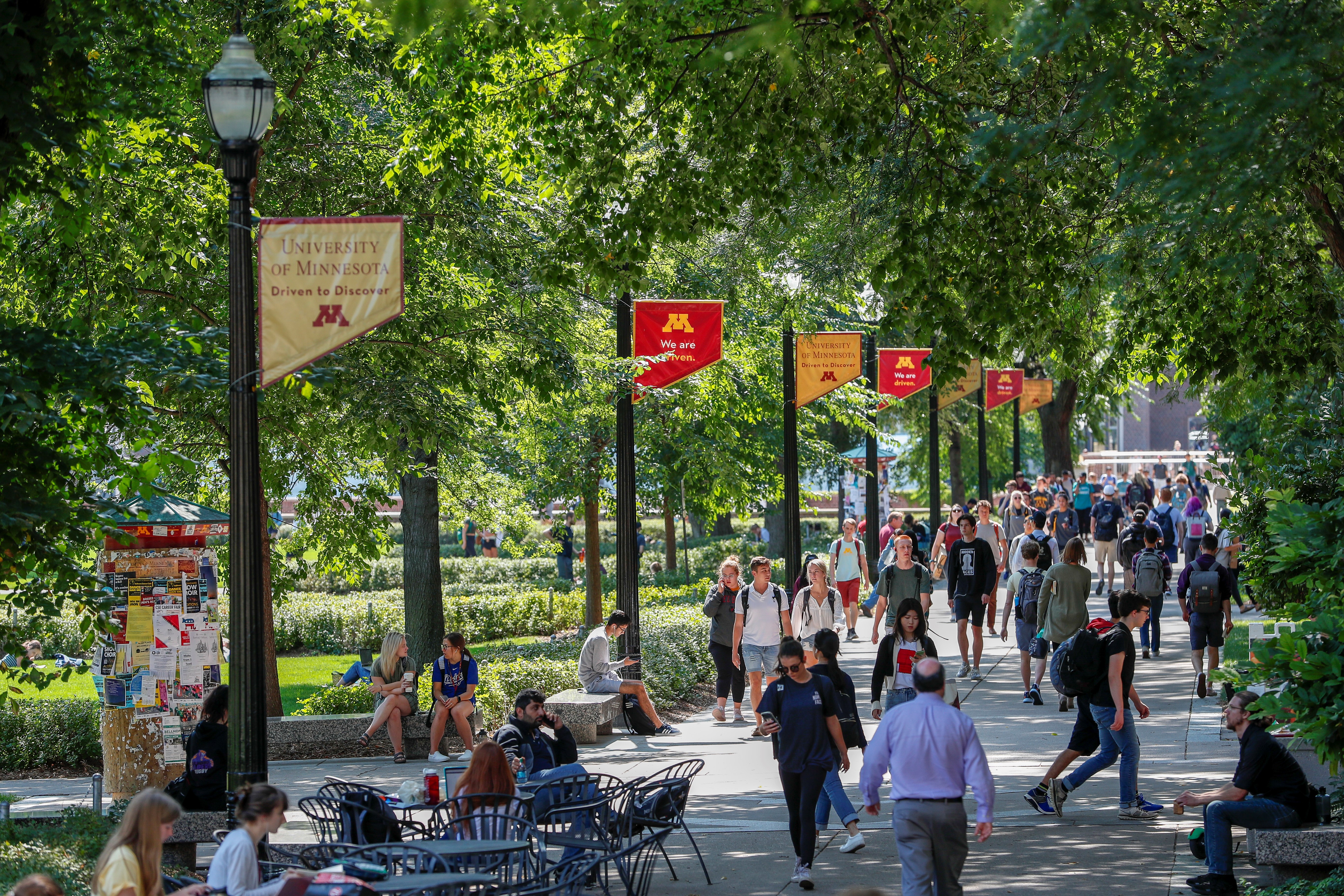 Photo of students walking on a sidewalk lined by tall, leafy trees on the University of Minnesota Twin Cities campus.