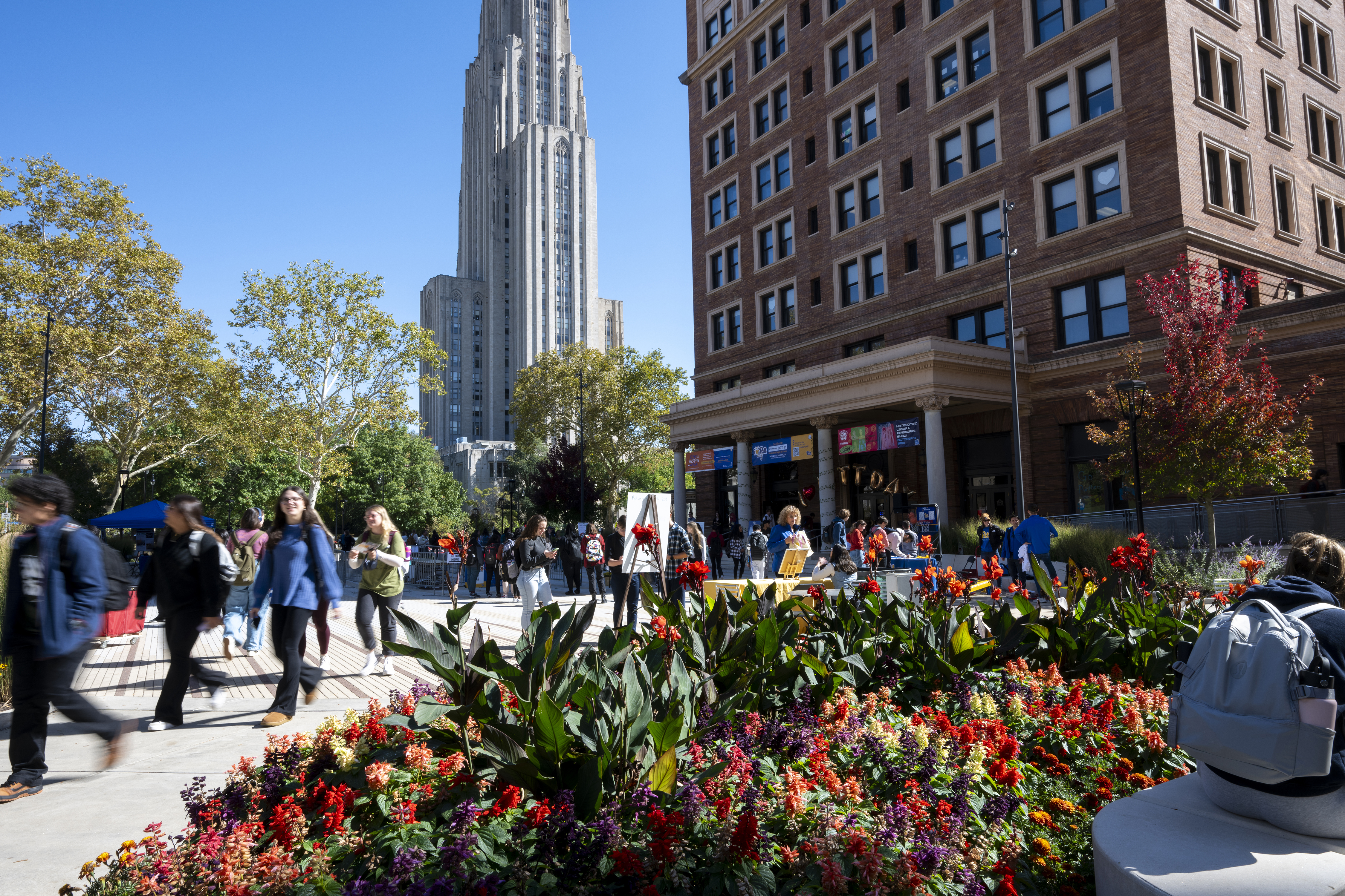 Photo of students walking around the University of Pittsburgh campus on a sunny day