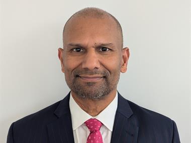 Amod Choudhary - Professor and Director of Special Projects, Lehman College of The City University of New York - Panelist