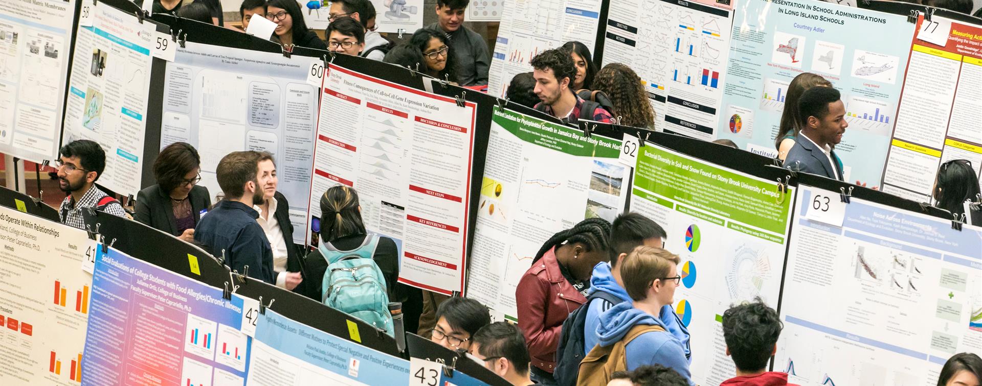 Picture of students at a research festival.