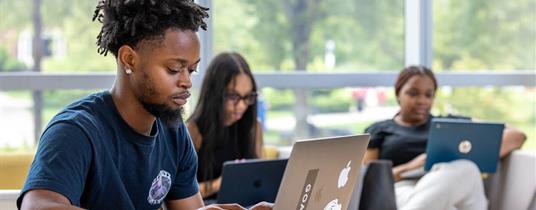 Keeping the Learning Real: Validating Student Learning to Protect Degree Value