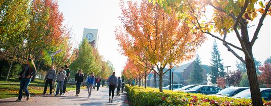  U.S.-Mexico Higher Education Observatory