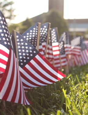 Picture of a row of U.S. flags