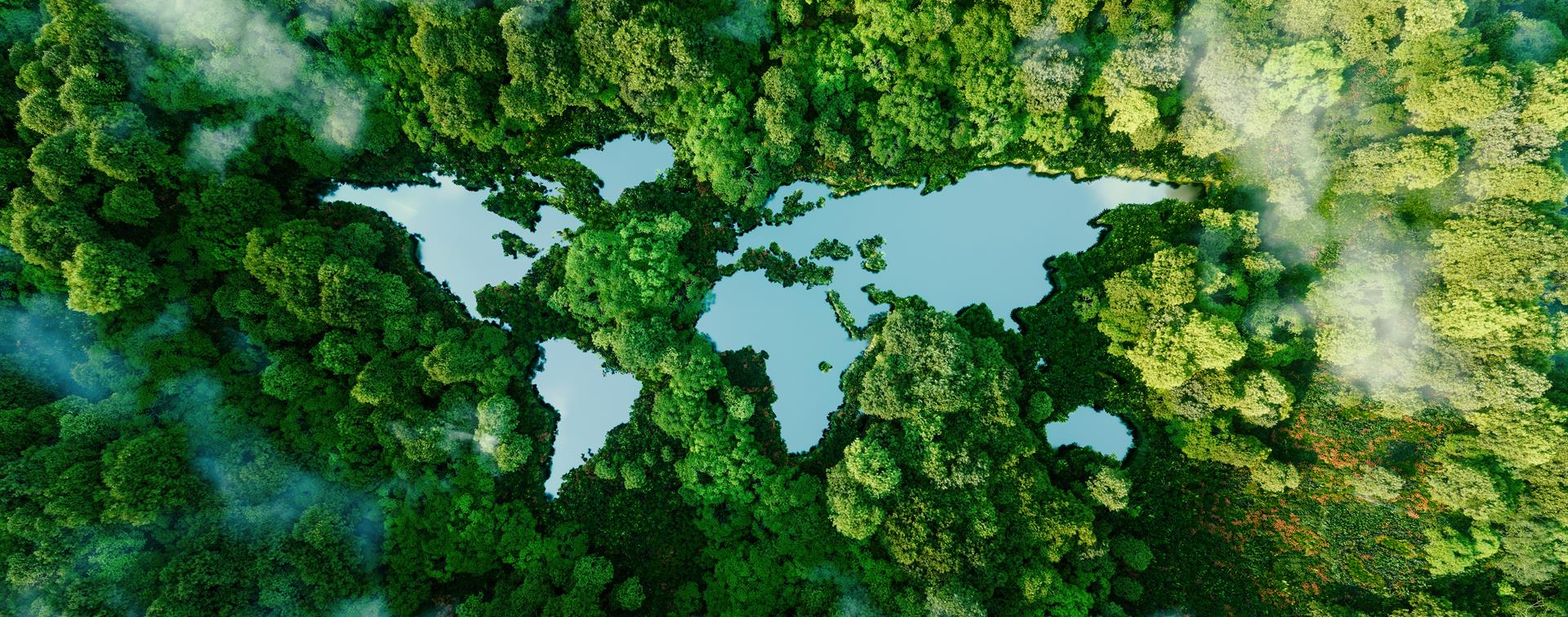 Photo illustration of a world map depicted by water and trees