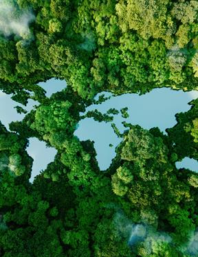 Photo illustration of a world map depicted by water and trees