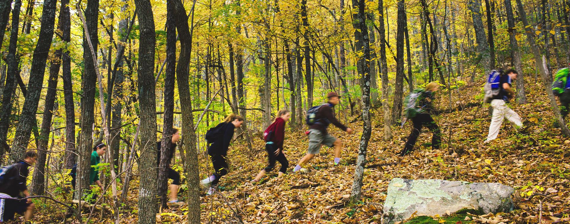 Photo of a group of students hiking in the woods