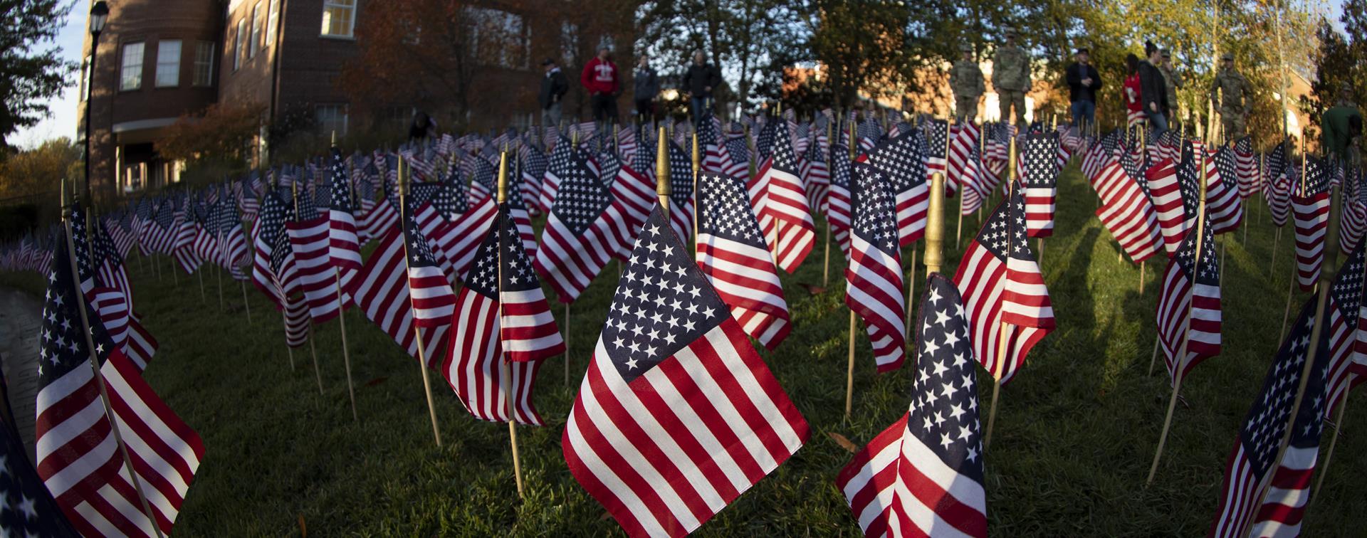 Photo of an array of small American flags on a lawn outside an academic building