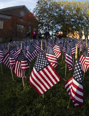 Photo of an array of small American flags on a lawn outside an academic building