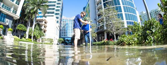 Florida Atlantic University Establishes School Devoted to Environmental Sustainability