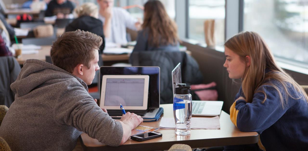 Career & Education Planning Co-Pilot Relaunches