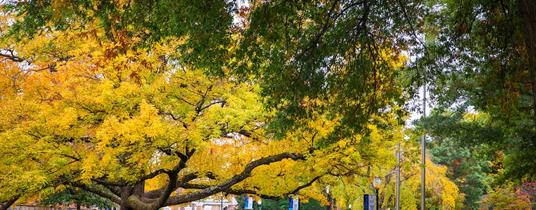 Changes to Key Inflation Reduction Act Green Energy Tax Provisions in the One Big Beautiful Bill Act