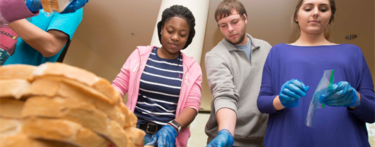 KSU Center Provides Resources for Homeless, Food Insecure, and Foster Care Students