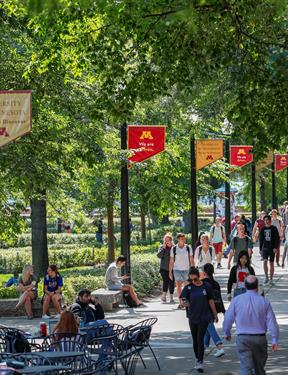 Students walk on a pathway with banners showcasing the University of Minnesota Twin Cities logo.