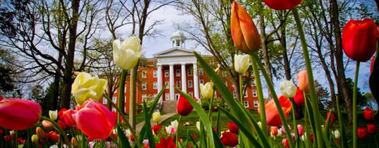 Letter to Congress Requesting Support for Student Aid in FY 2020 Spending Bill