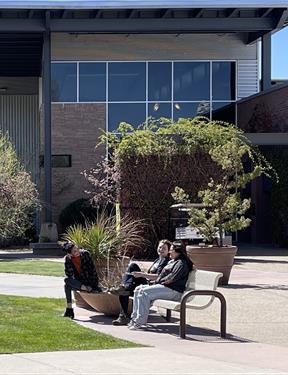Photo of three college students sitting and chatting on a bench on a campus. Plants and trees bloom behind them.