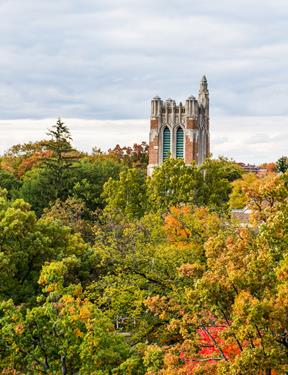 Photo of Michigan State University's Beaumont Tower amid autumn treetops