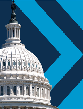 An image of the Capitol Building in Washington, DC with a blue herringbone background.