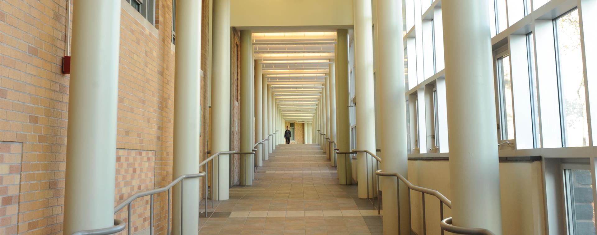Picture of a hall lined with pillars. 